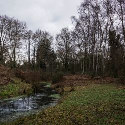 Photos