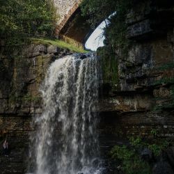 Photos