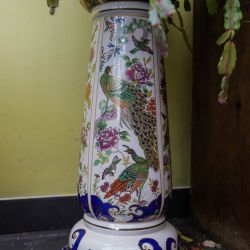 Photos