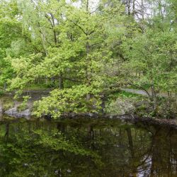 Photos