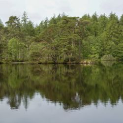 Photos