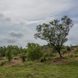 Photos