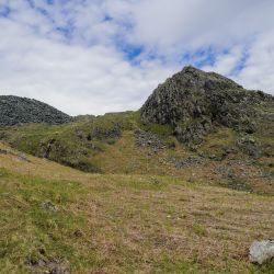 Photos