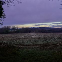 Photos