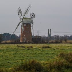 Photos