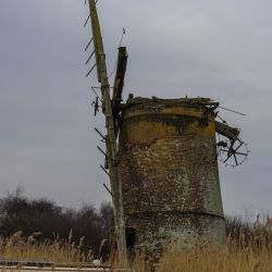 Photos