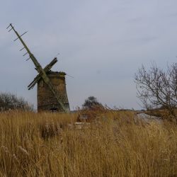 Photos