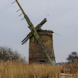 Photos