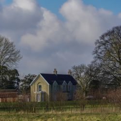 Photos