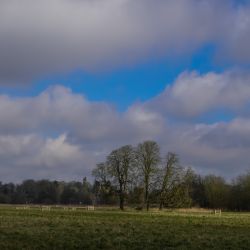 Photos