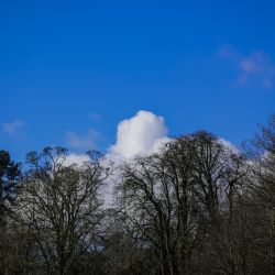 Photos