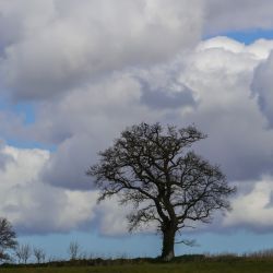 Photos