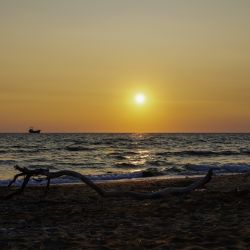Photos