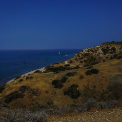 Photos