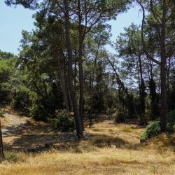 Photos