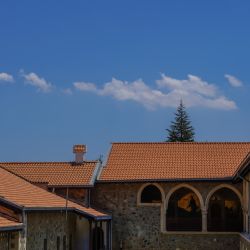 Photos