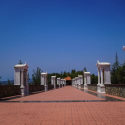 Photos