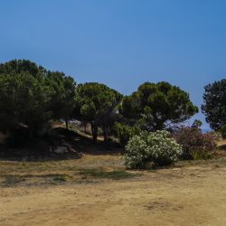 Photos