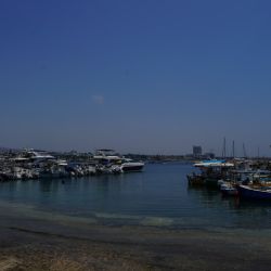 Photos