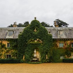Photos