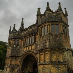 Photos