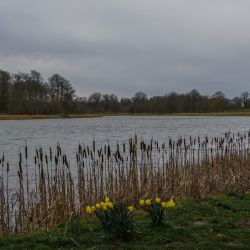 Photos