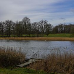 Photos