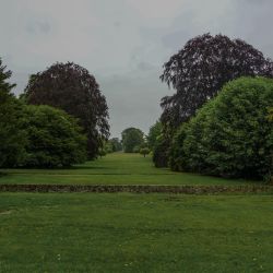 Photos
