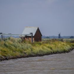Photos