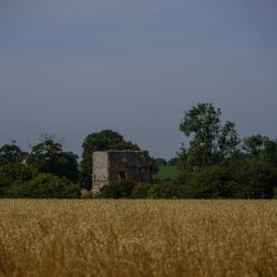 Photos