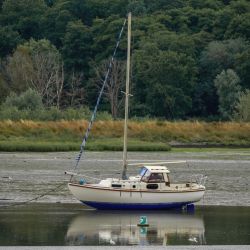 Photos