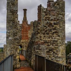Photos